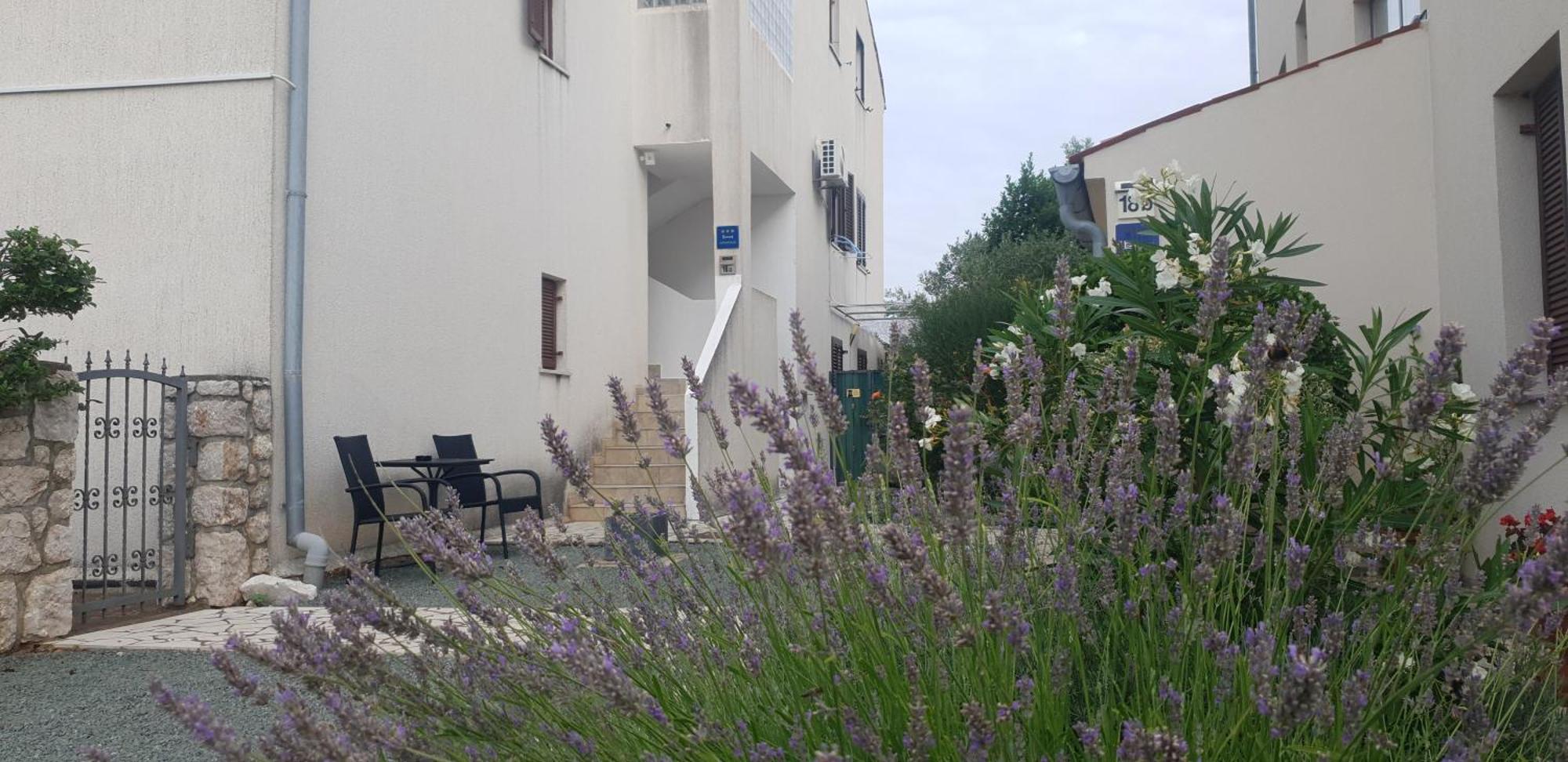 Apartment Kristian Црес Екстер'єр фото